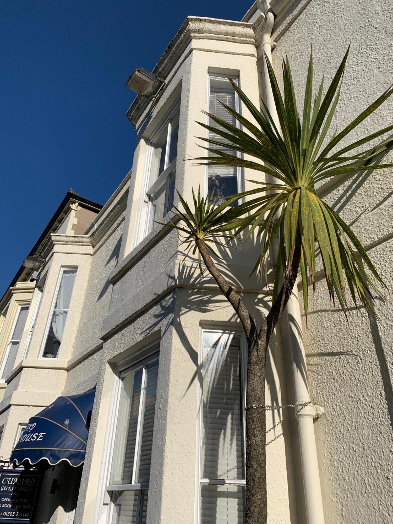 Cunard Guest House Weymouth Buitenkant foto